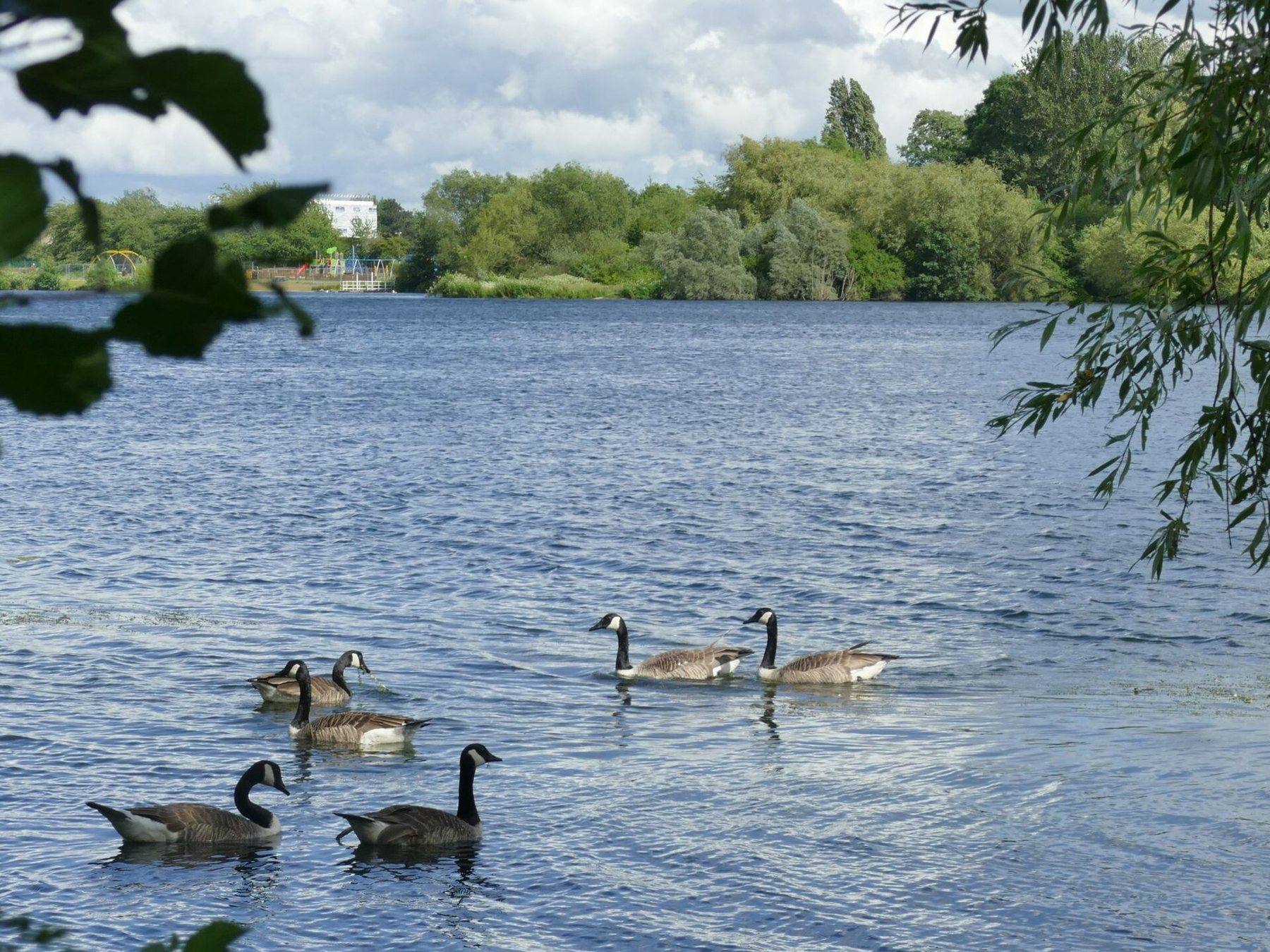 Colwick Country Park Lakes and River Trent Circular