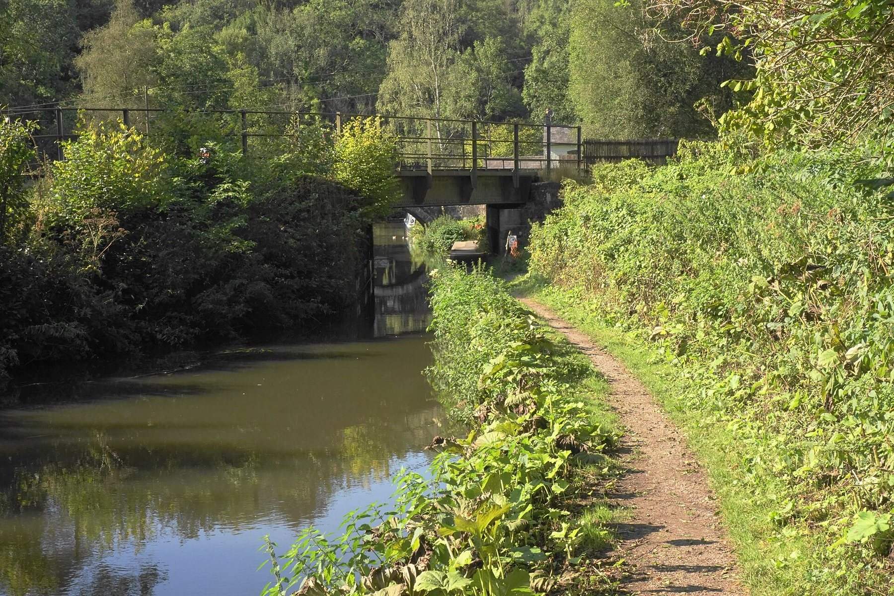Consall Nature Park and the Caldon Canal