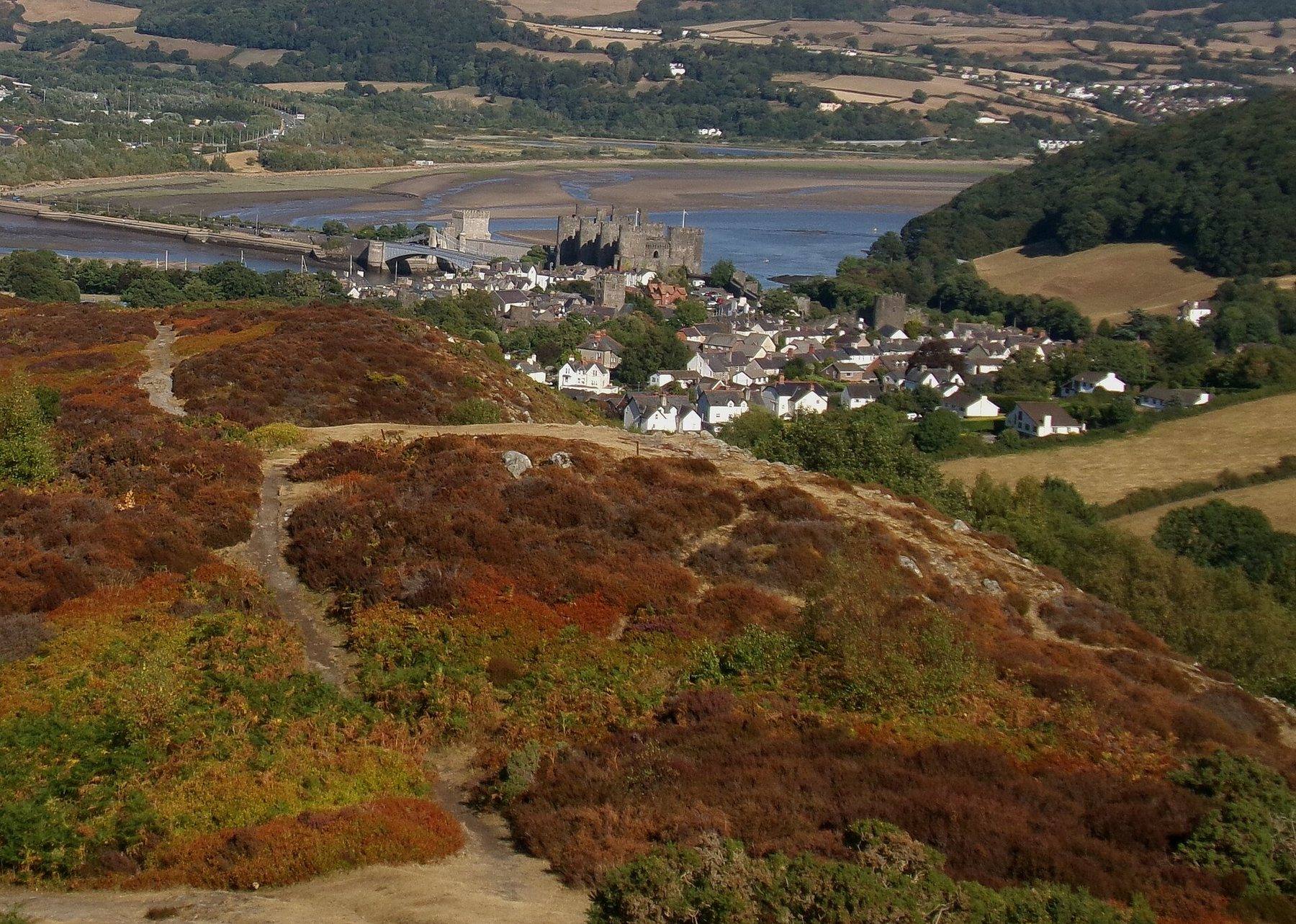 Conwy Mountain Circular