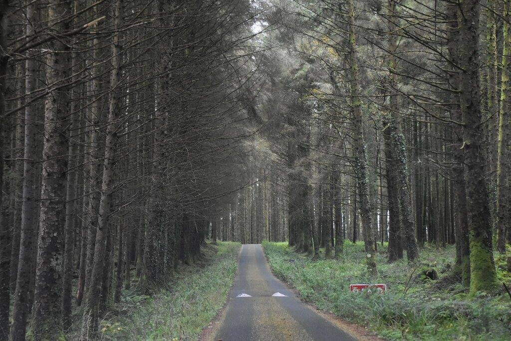 Correl Glen Nature Reserve Walk