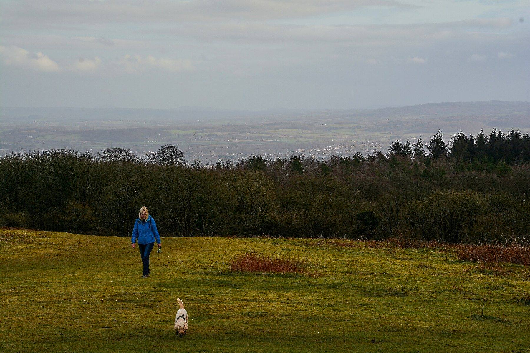 Cothelstone Hill Circular