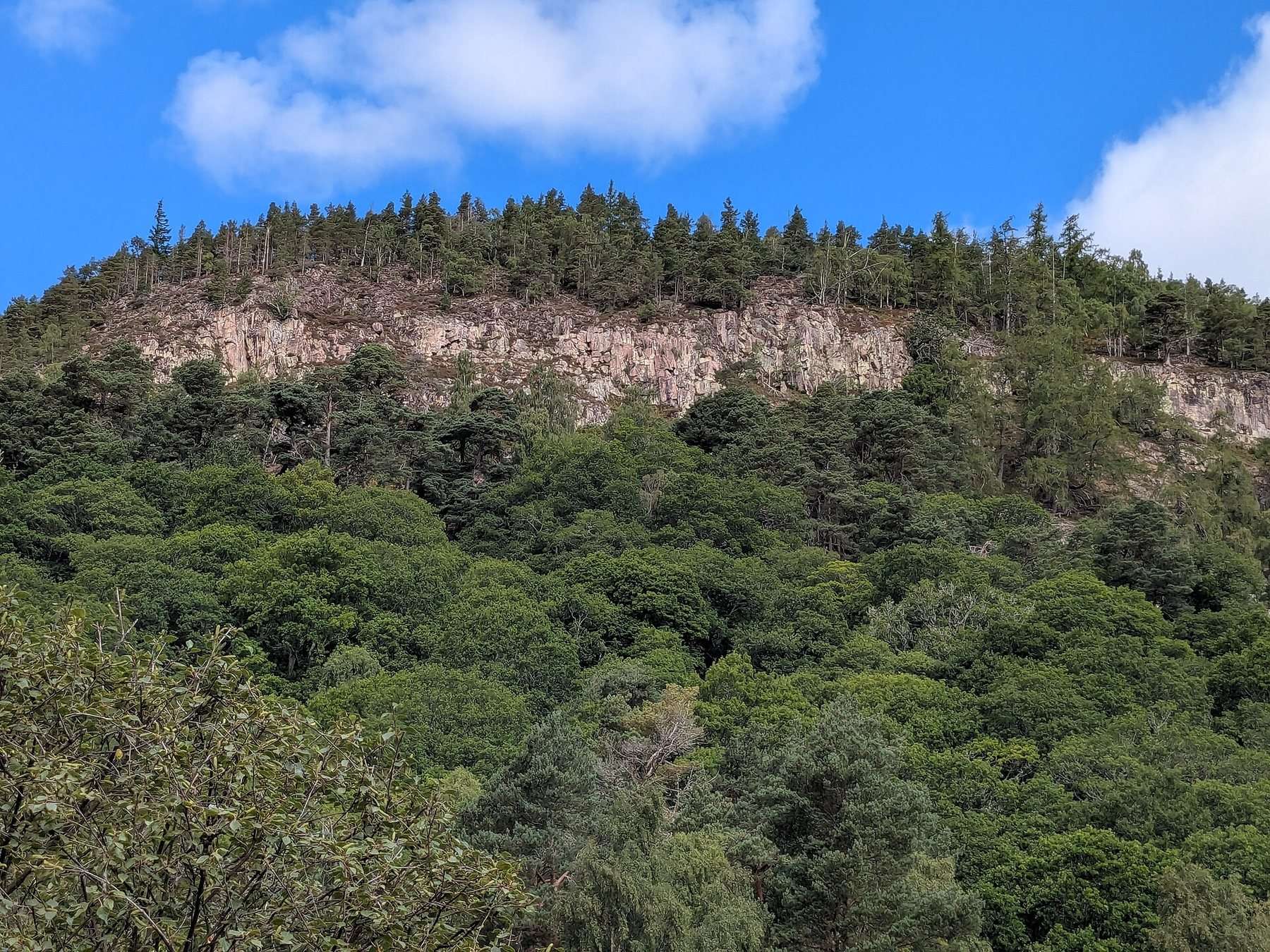 Craigendarroch Oakwoods and Summit, Ballater
