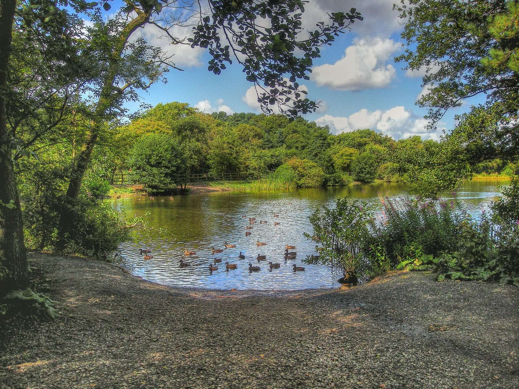 Cuerden Valley Park Circular