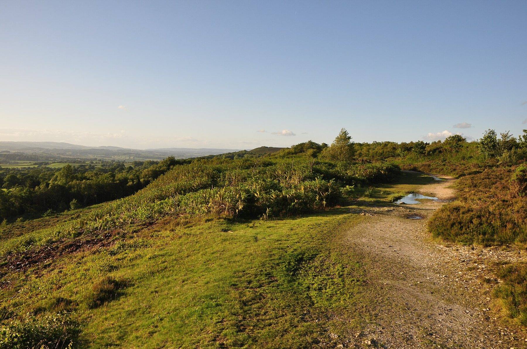 Culmstock Beacon and Black Down Common from Hemyock