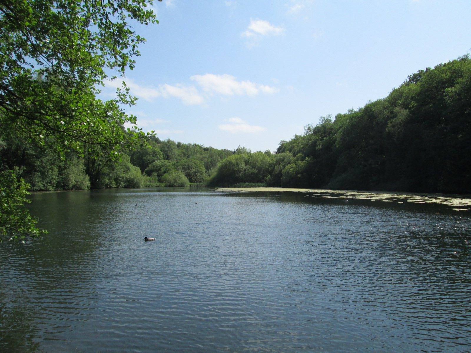 Deep Hayes Country Park Circular Walk
