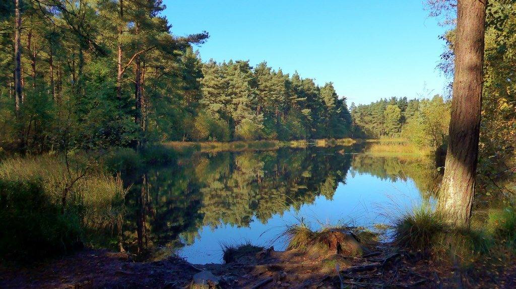 Devilla Forest Four Lochs Walk