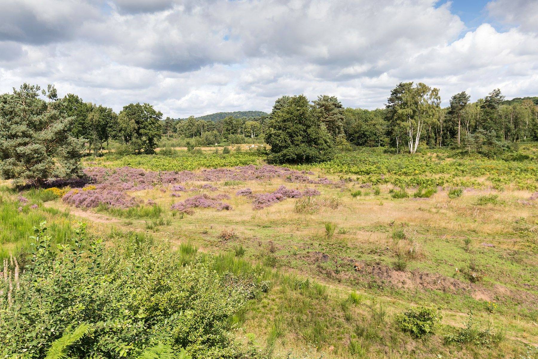 Devil's Spittleful and Rifle Range