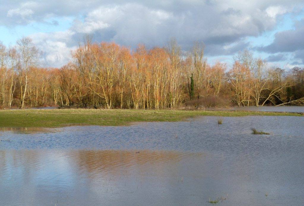 Dinton Pastures Lakes Circular