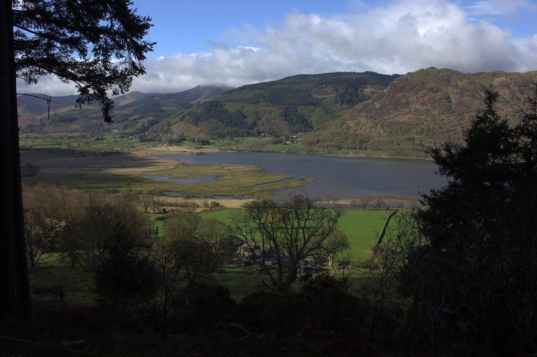 Dodd Summit Trail, Dodd Wood