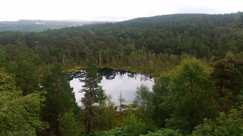 Dog Falls and Coire Loch, Glen Affric