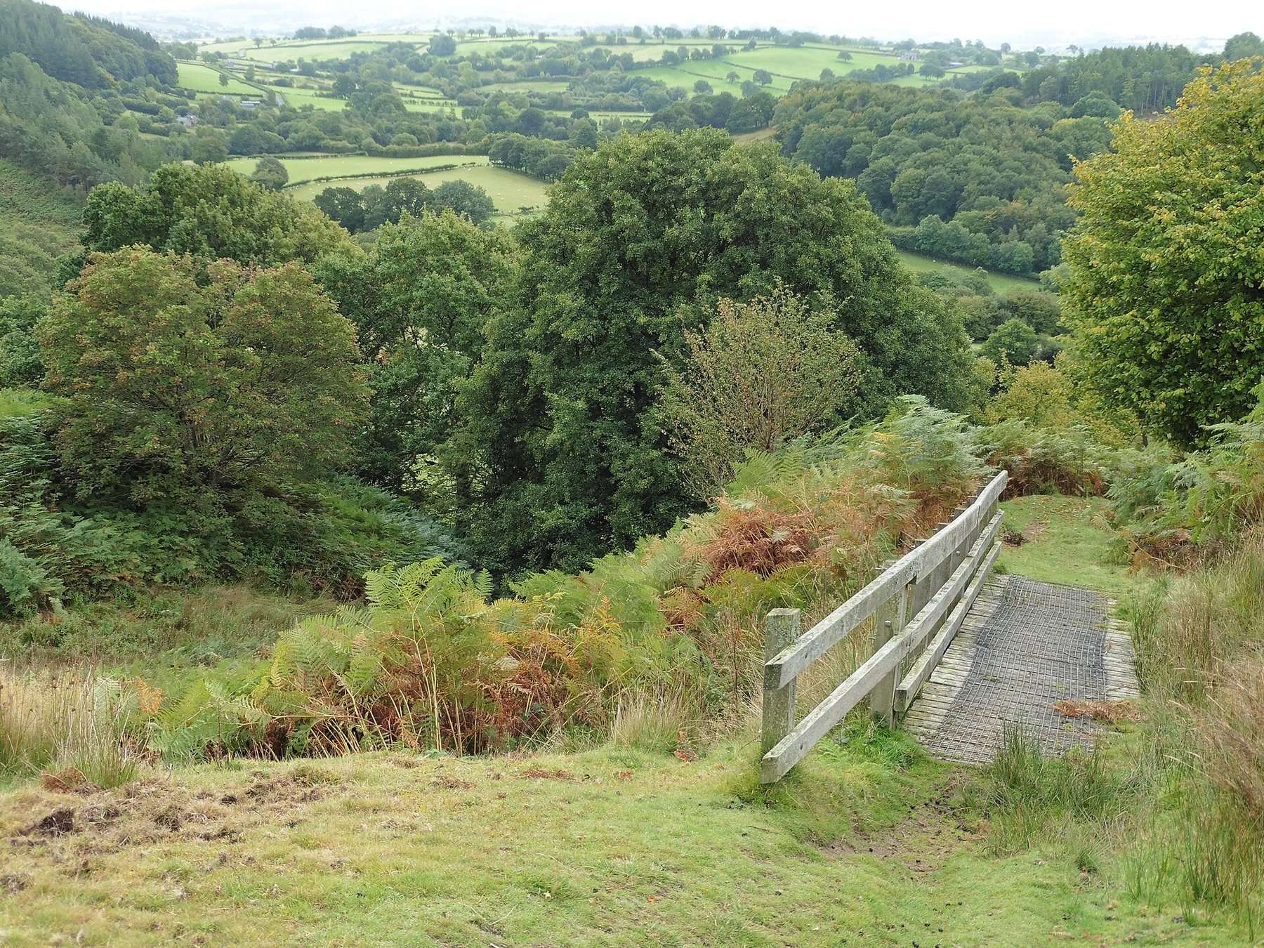 Dolanog Circular: Glyndŵr's Way and the River Vyrnwy