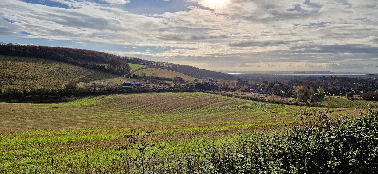 Drewton Dale and Little Wold Plantation from South Cave