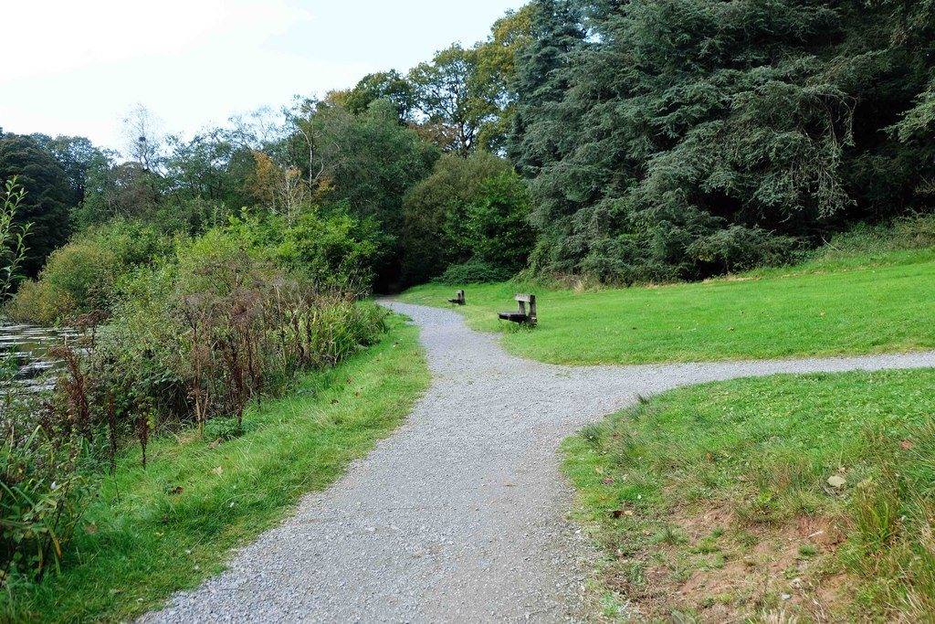 Drum Manor Forest Park Circular