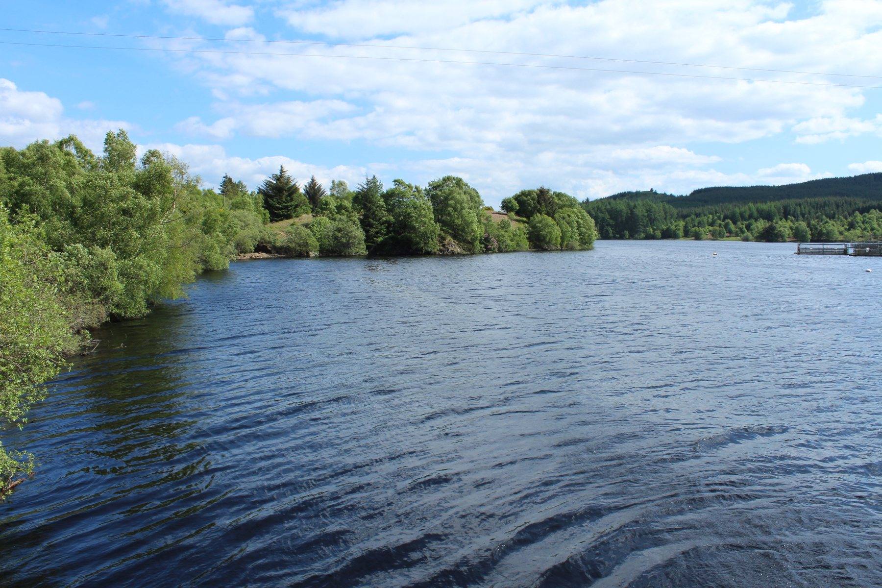 Dundeugh Forest and Kendoon Loch