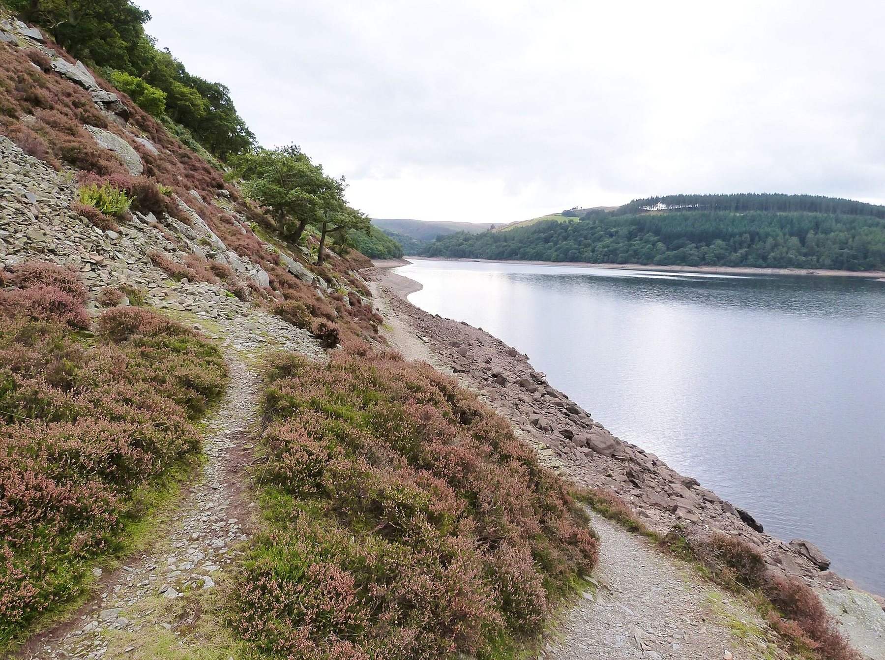 Elan Valley: Caban Coch and Nant y Gro Walk