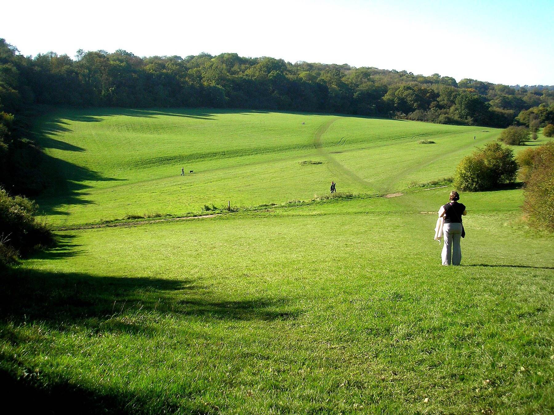 Farthing Downs and Happy Valley Circular