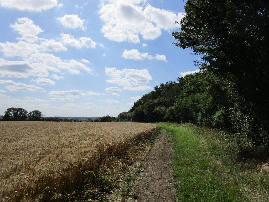 Fermyn Woods Country Park Perimeter Walk