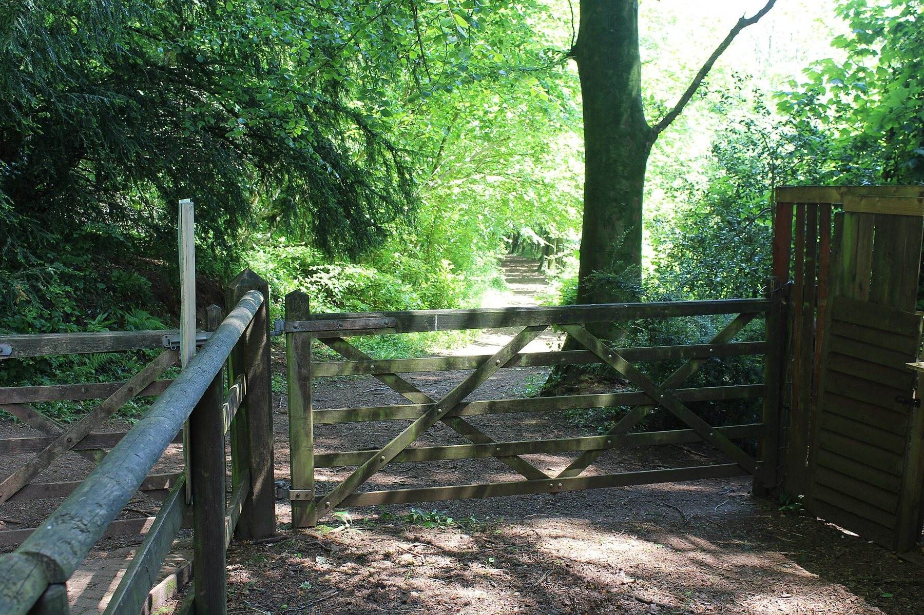 Fforest Fawr and Castell Coch: Sir Henry's Trail
