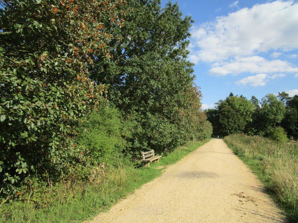 Fineshade Wood Mill Wood Trail