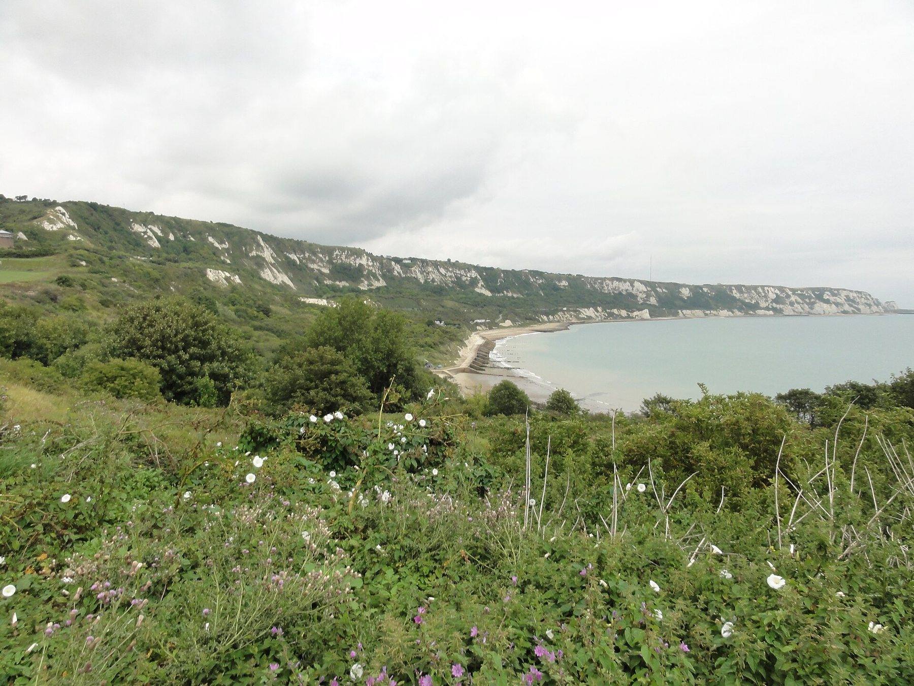 Folkestone Warren and East Cliff Circular