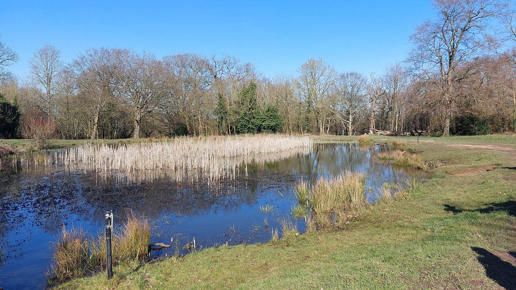 Fryent Country Park and Barn Hill