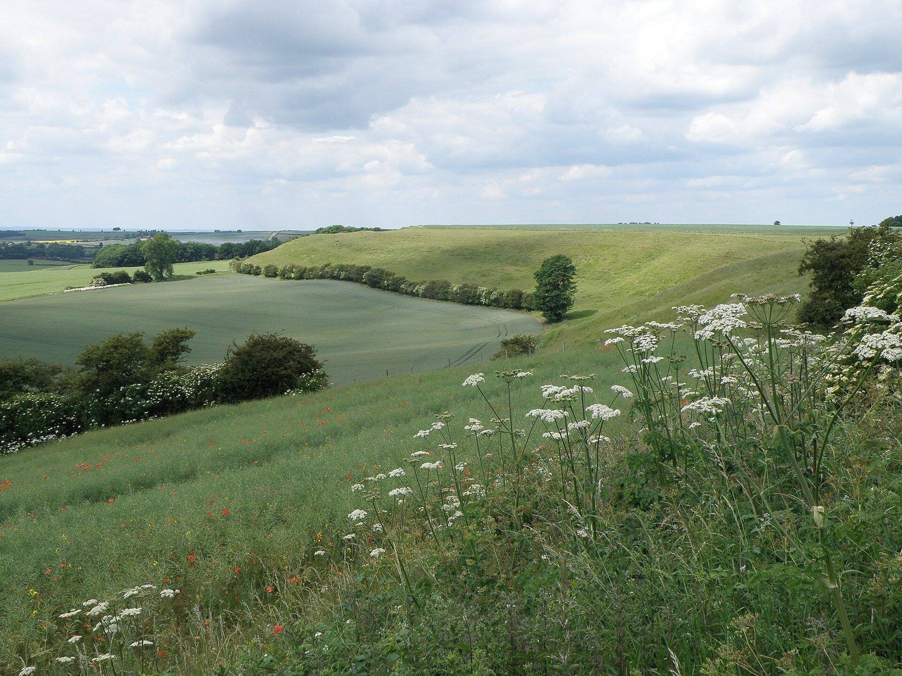 Fulletby, Tetford and Belchford Circular Walk