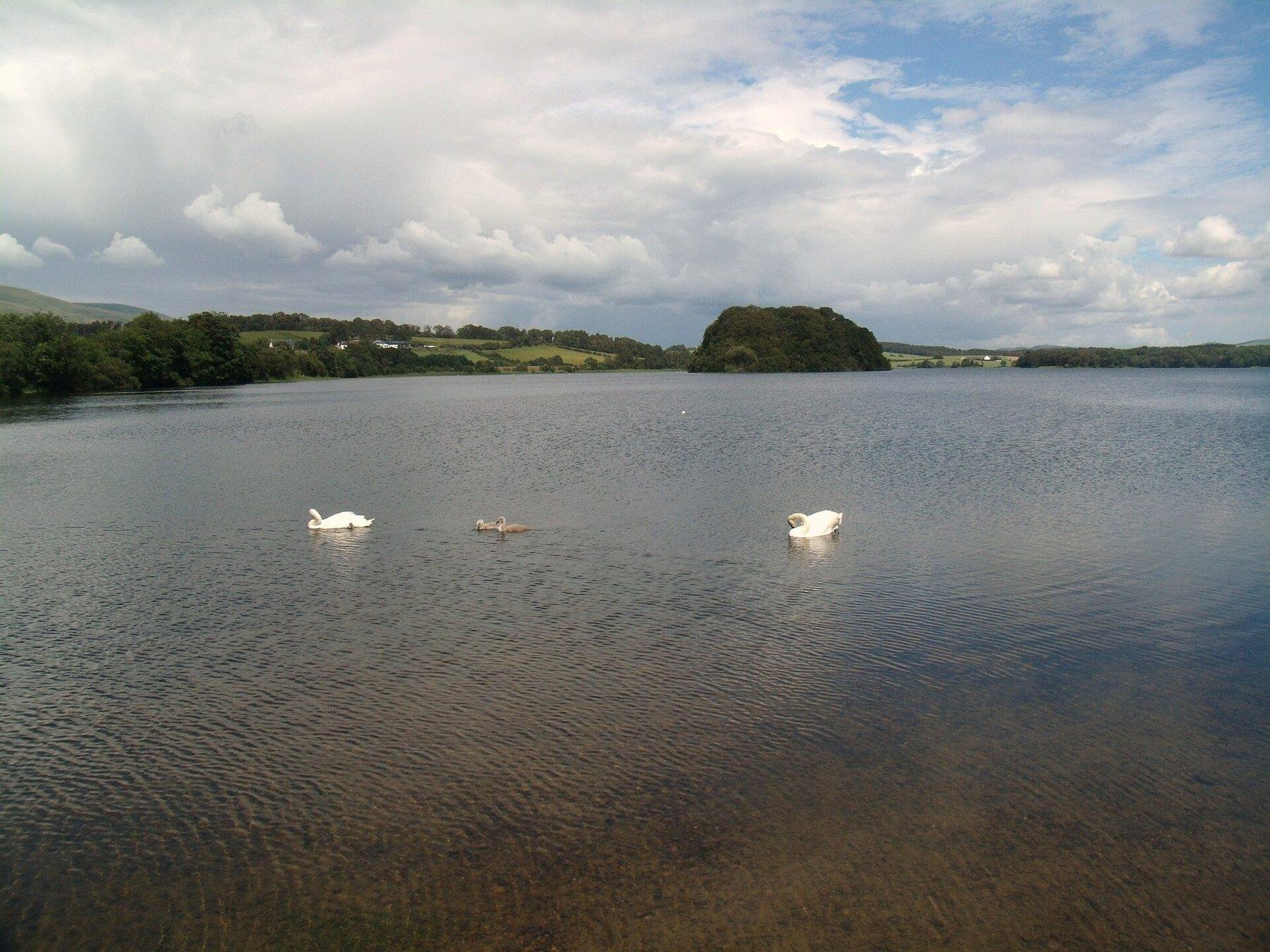 Gartmorn Dam Country Park Circuit
