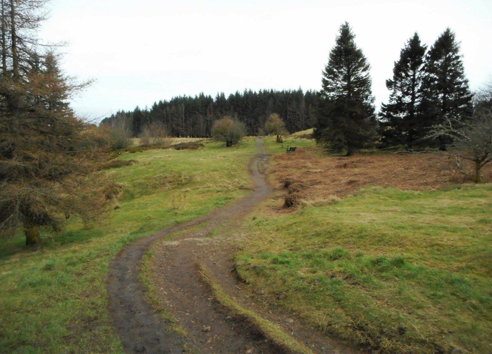 Gleniffer Braes: The Tannahill Walkway