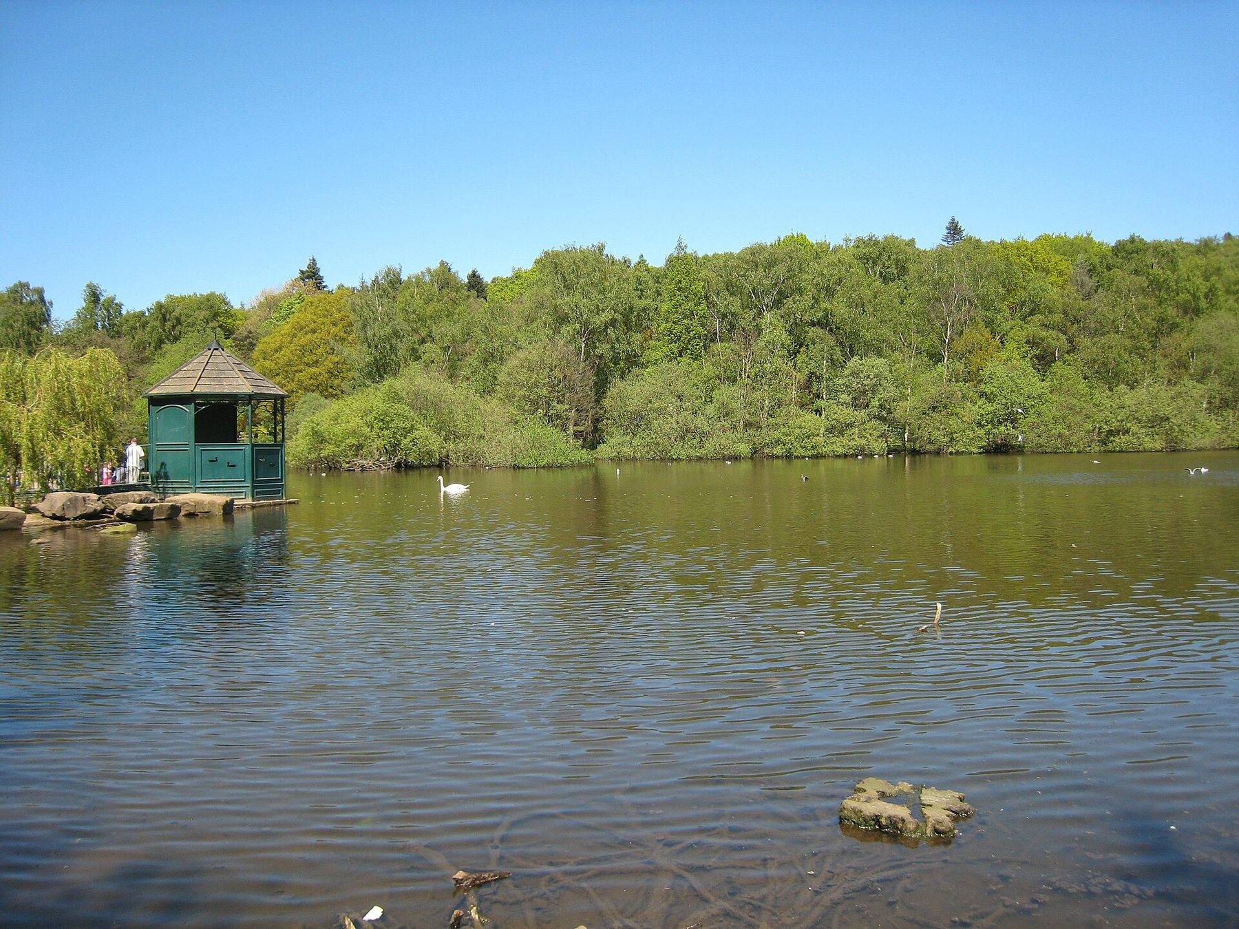 Golden Acre Park and Eccup Whin Circular