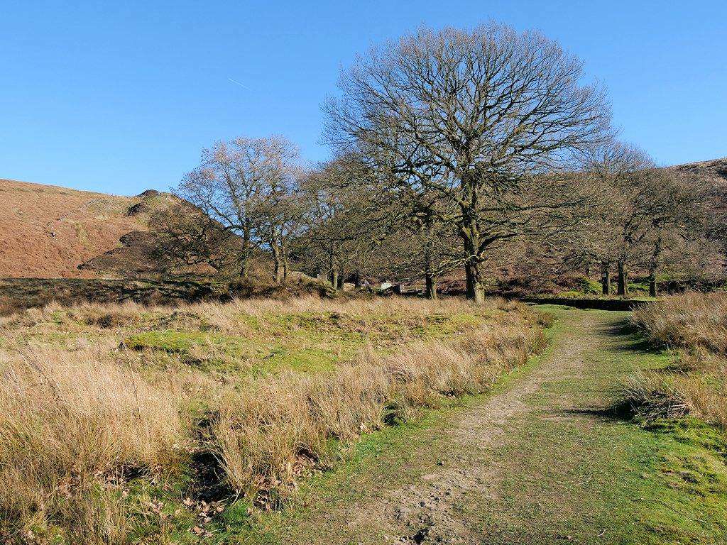 Great Hill from White Coppice