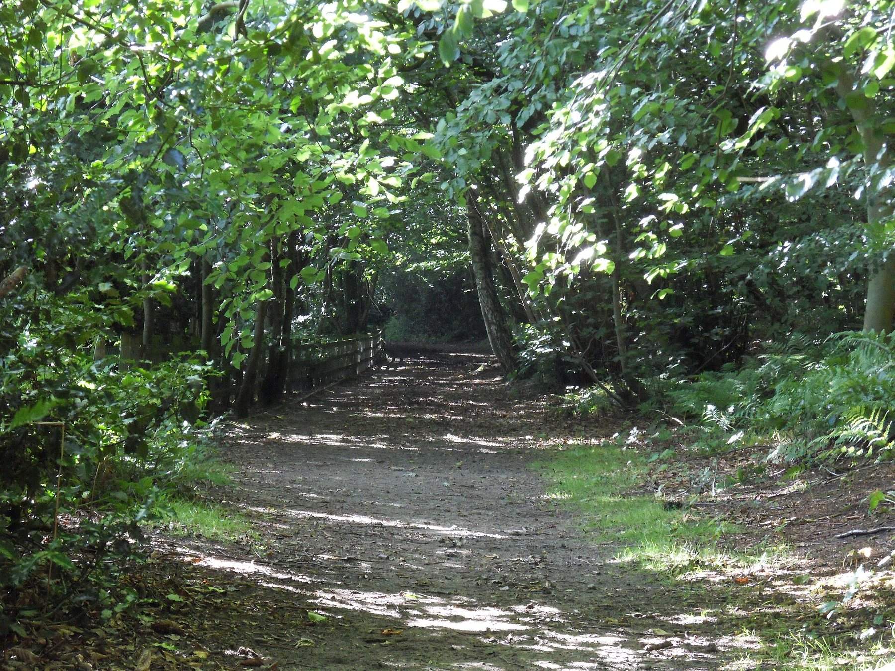 Grinshill Hill and Corbet Wood