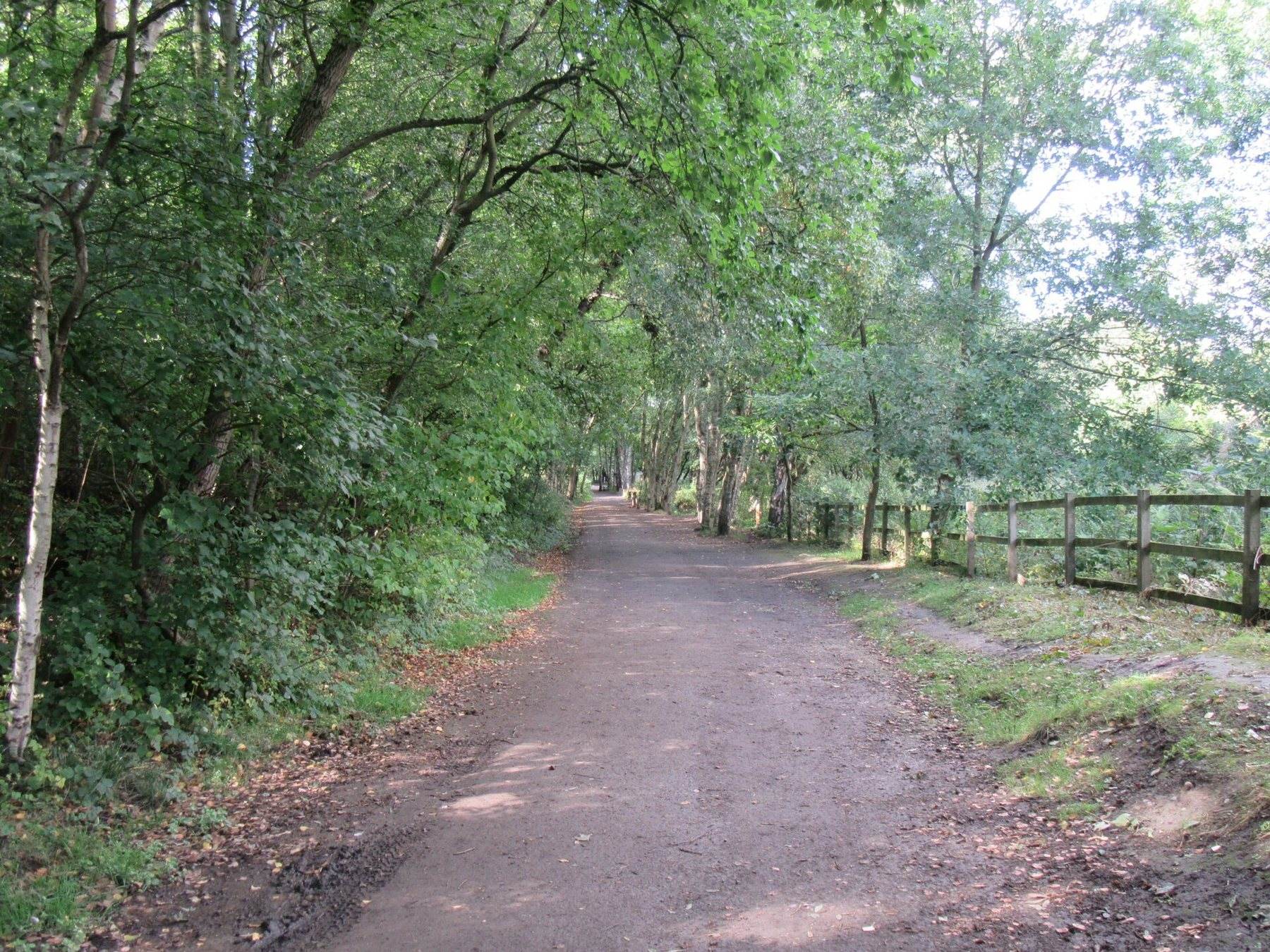 Guisborough Forest and Walkway