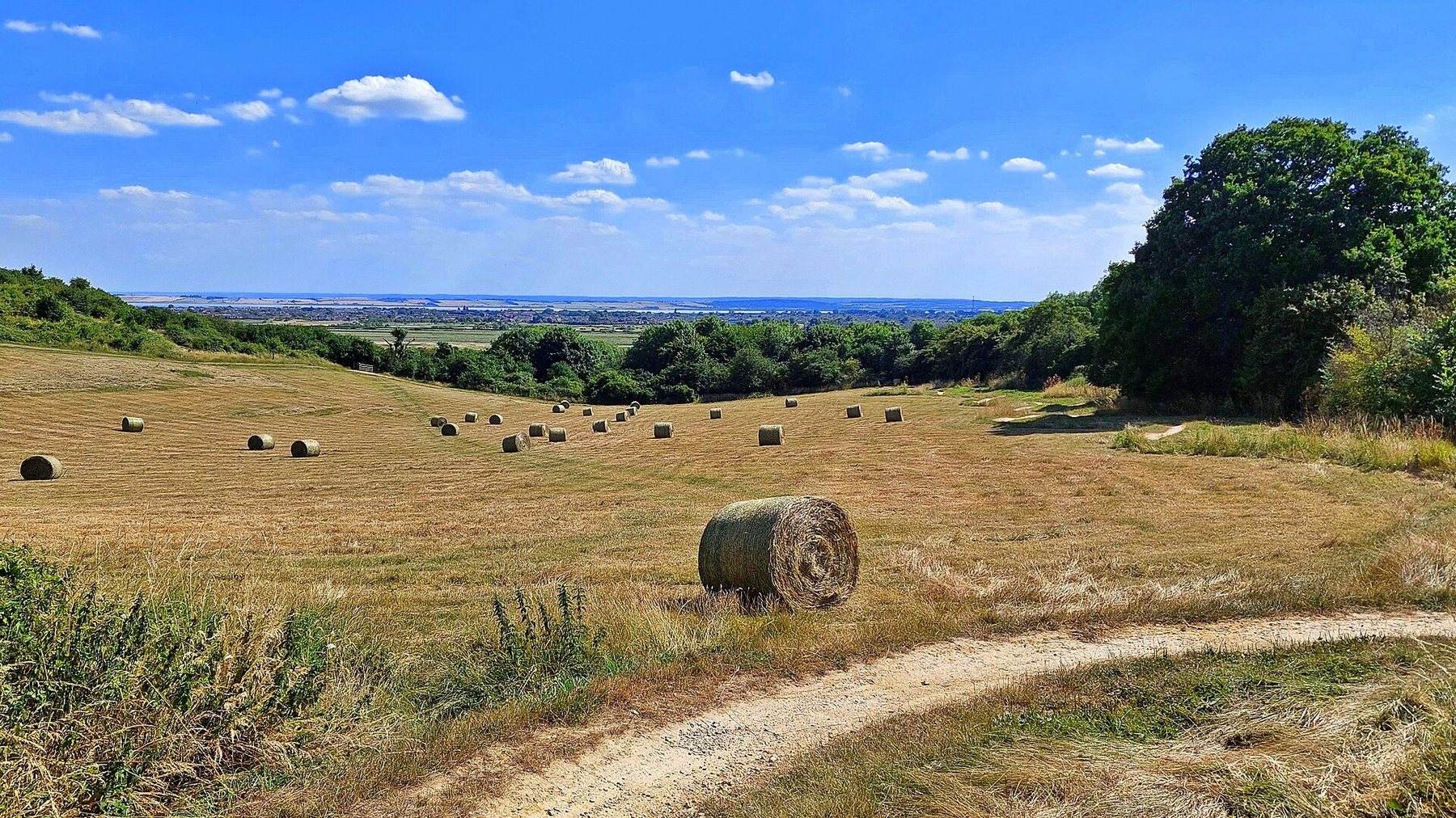 Hadleigh Castle and Country Park Walk