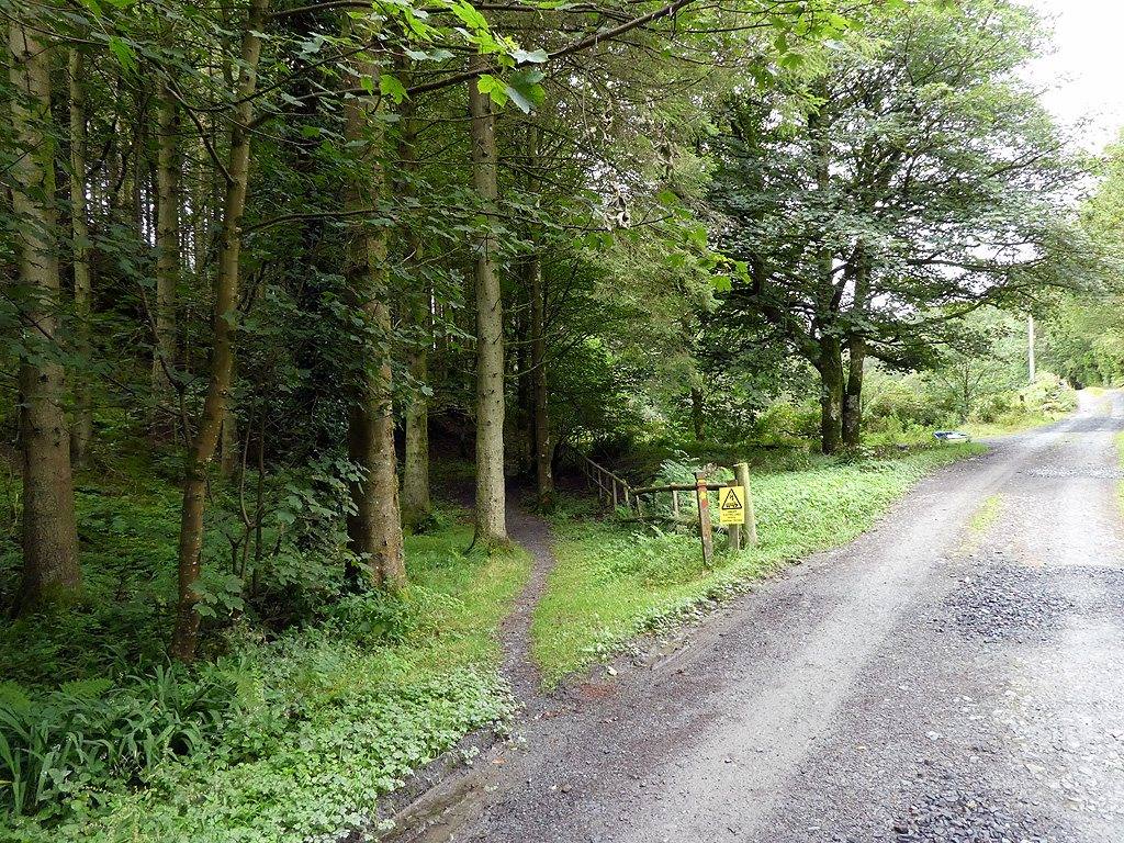 Hafod Estate Lady's Walk