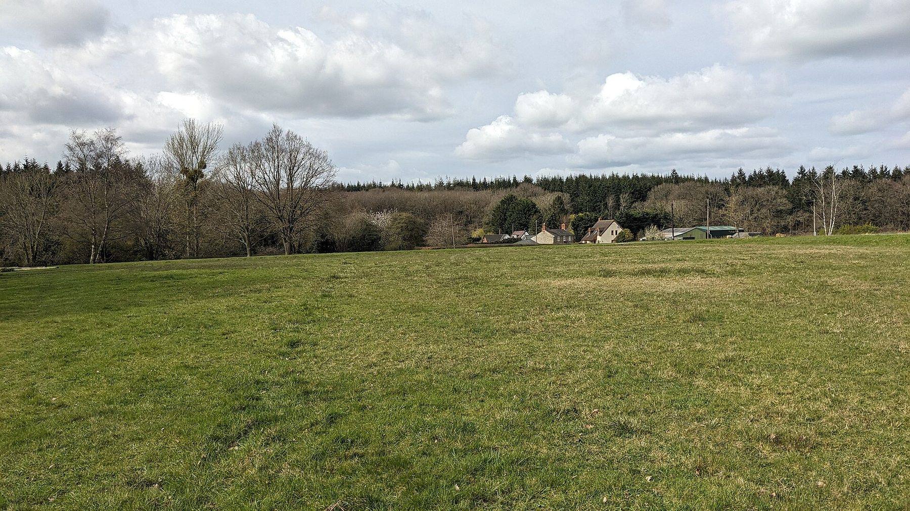 Haugh Wood