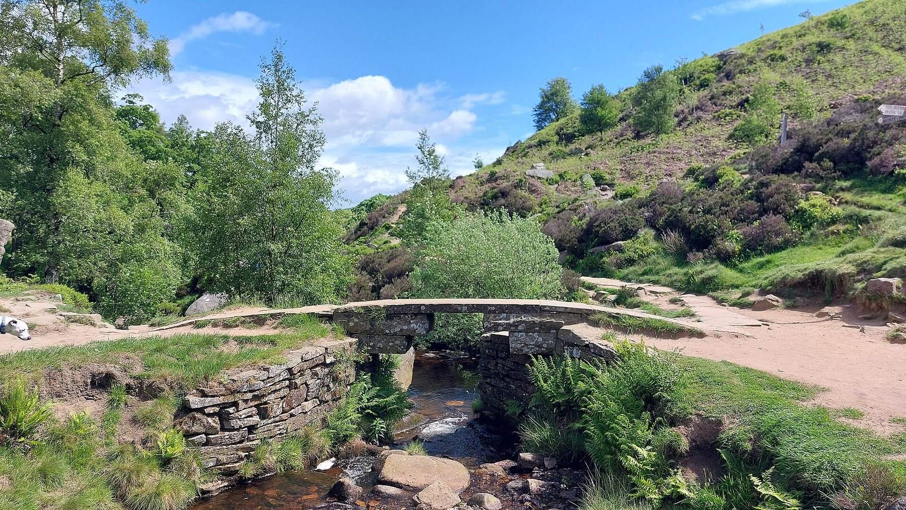 Haworth Moor, Brontë Waterfall and Top Withins