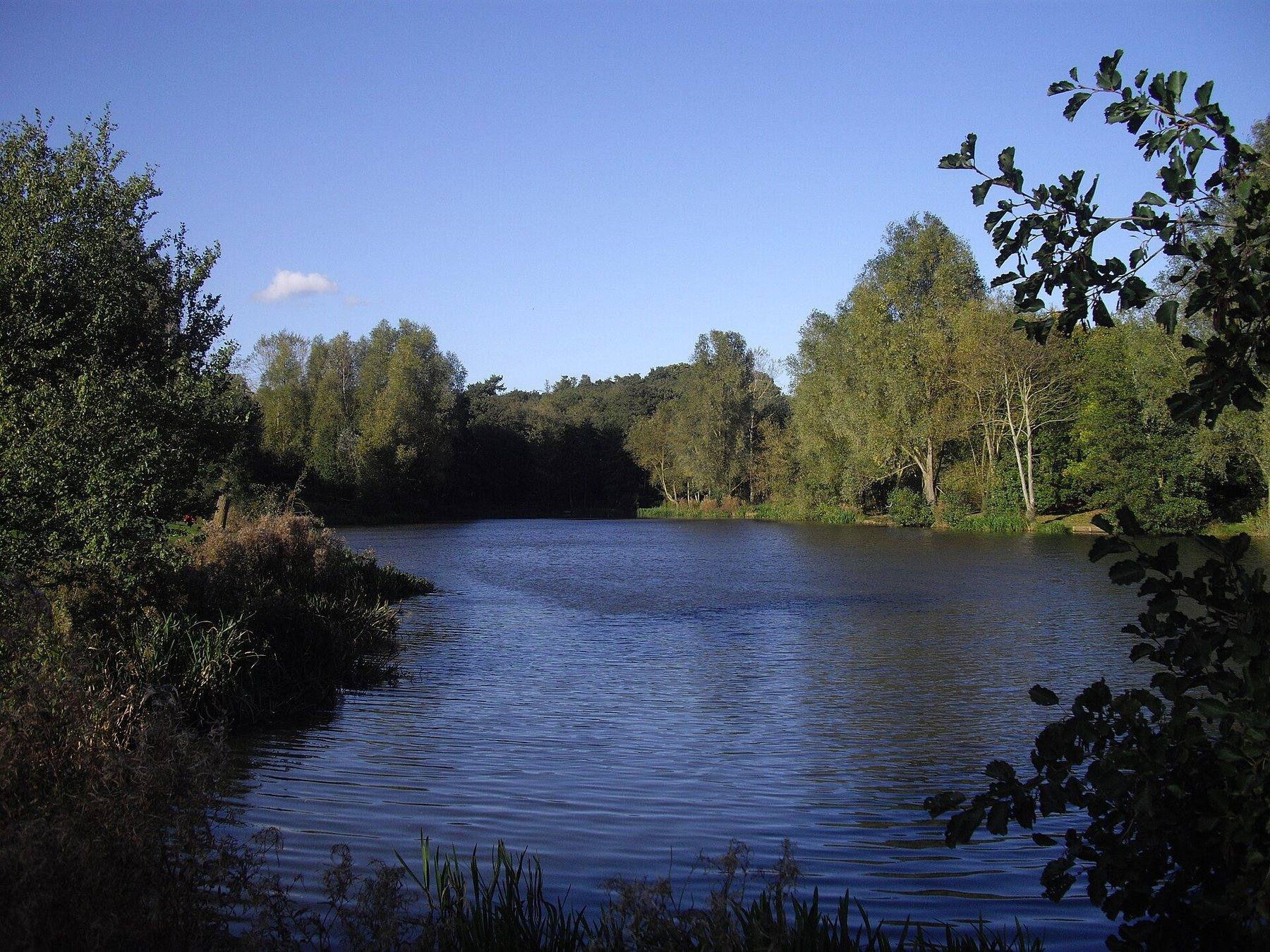 High Woods Country Park Circular Walk