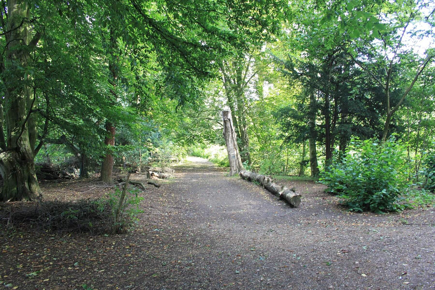 Hinchingbrooke Country Park Lakeside Walk