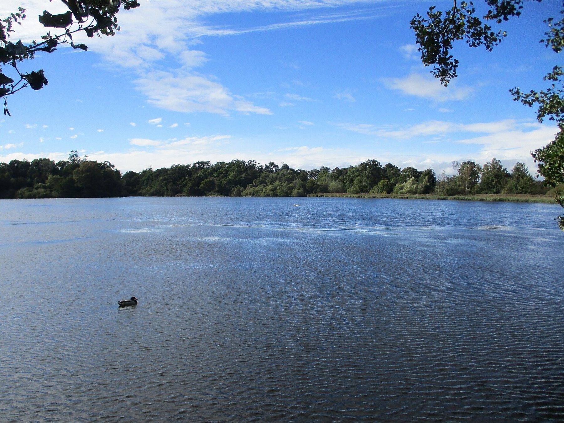 Hirsel Country Park Circular