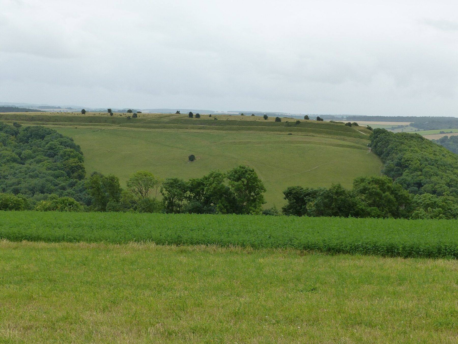 Hod Hill Circular Walk