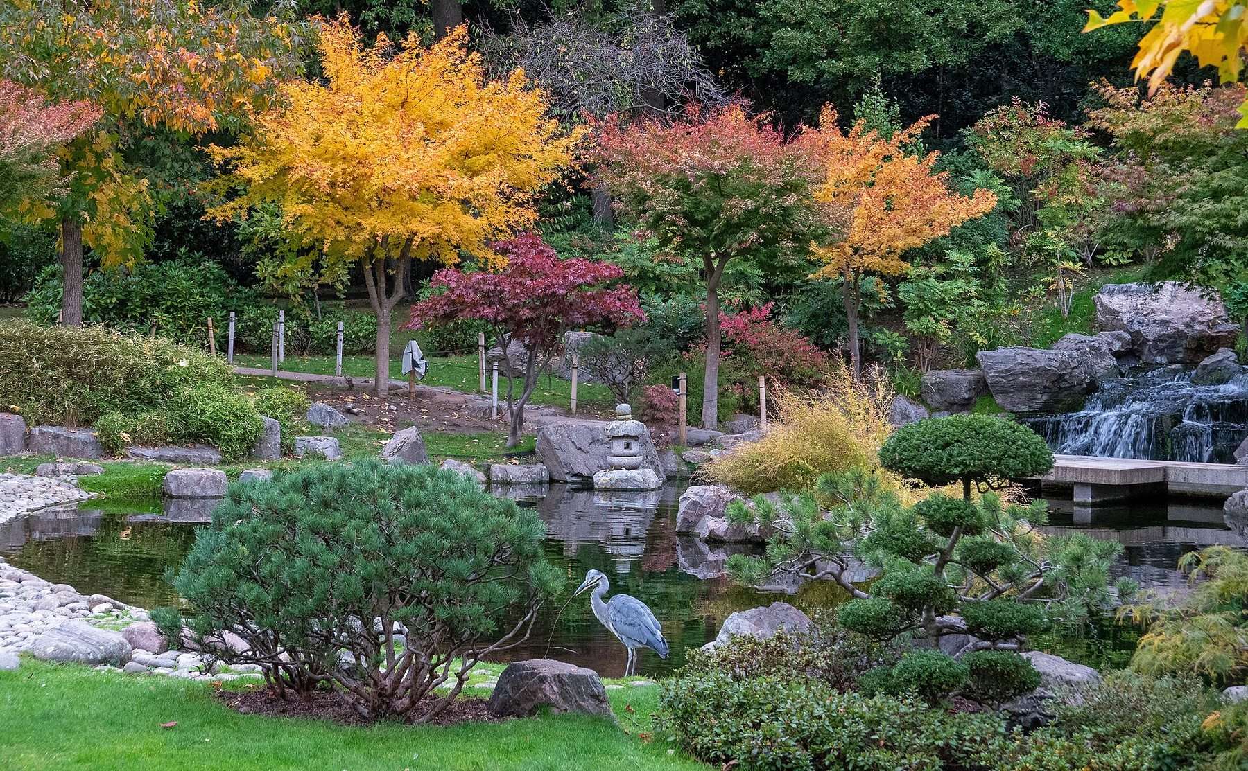 Holland Park Woodland and Kyoto Garden Circular