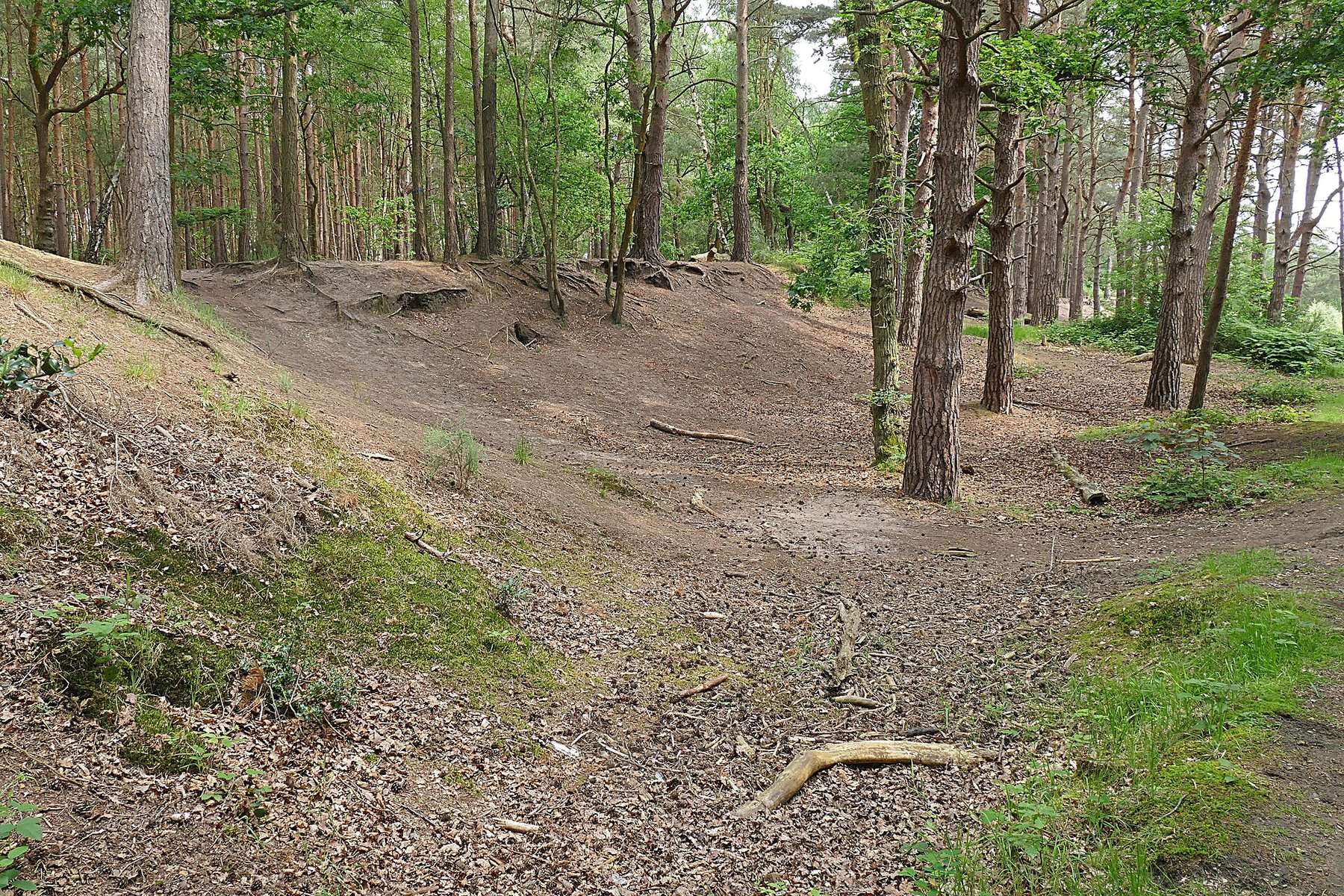 Horsell Common: The Sandpit and McLaren Park