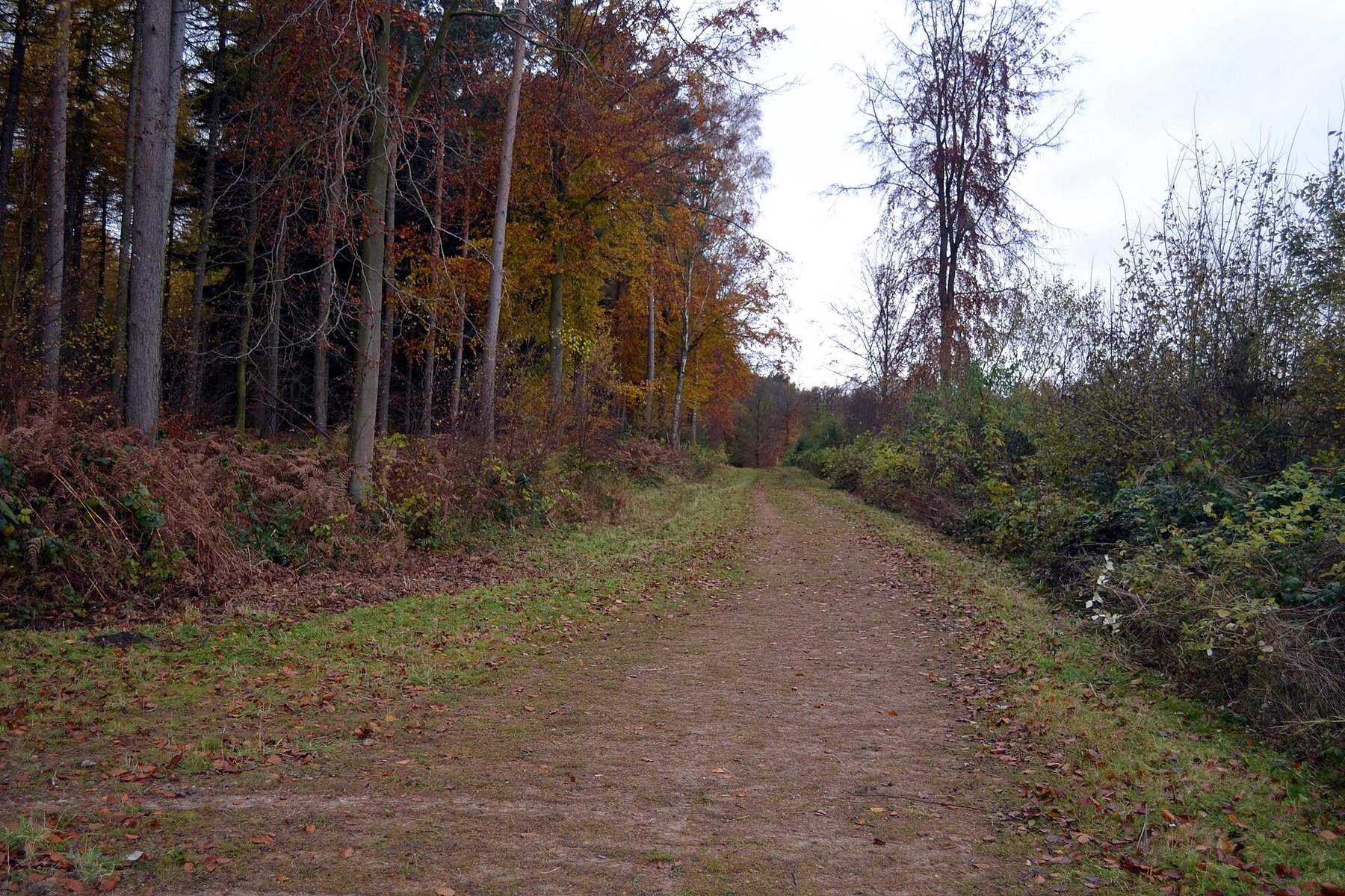 Hovingham and the Howardian Hills Circular
