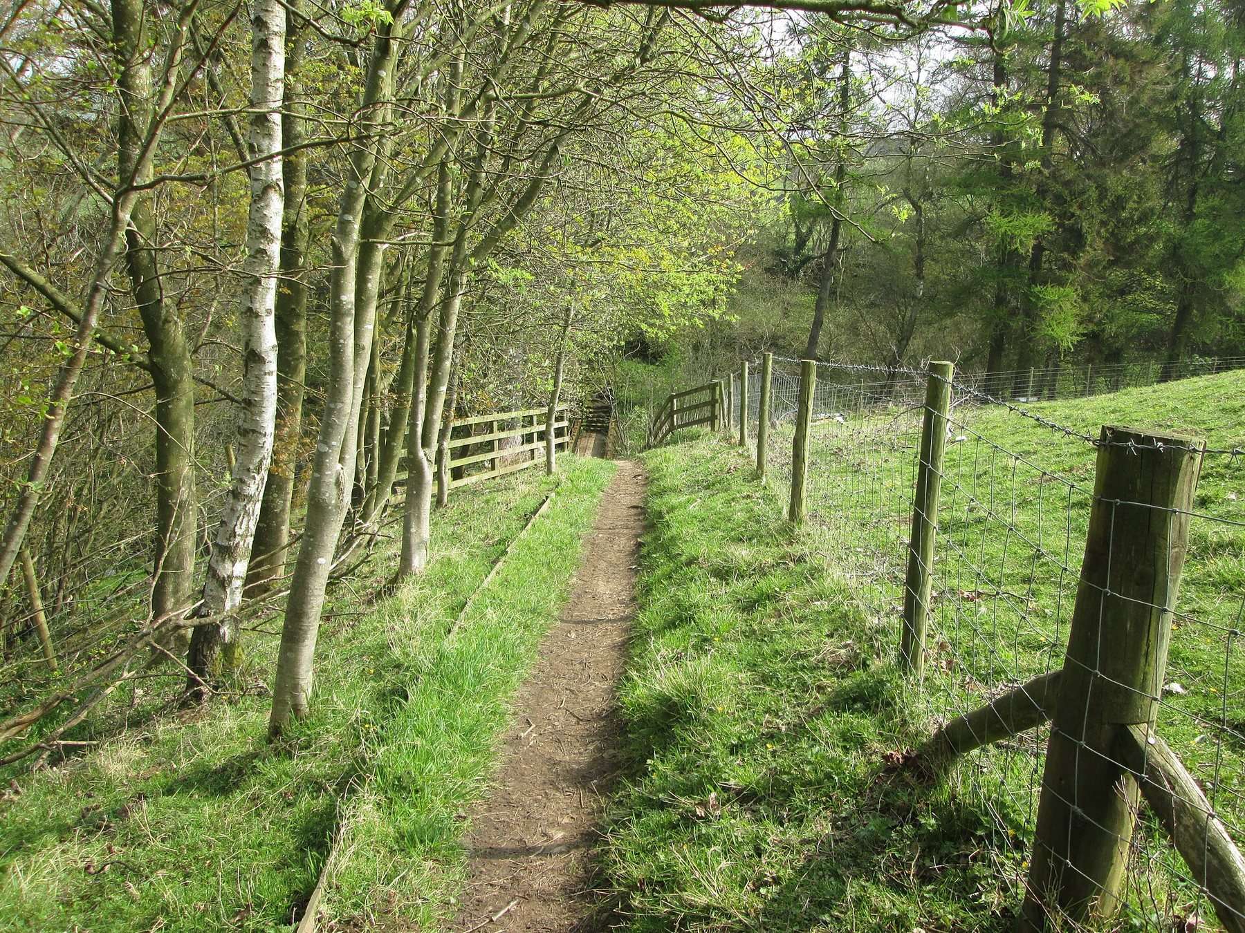 How Stean Gorge and the Stean Trail Circular