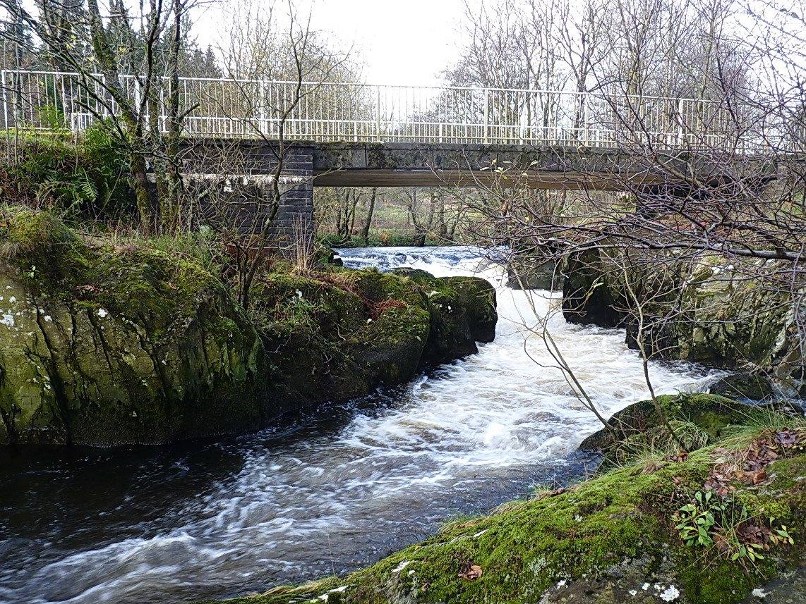 Irfon Forest: Cwm Irfon Trail from White Bridge