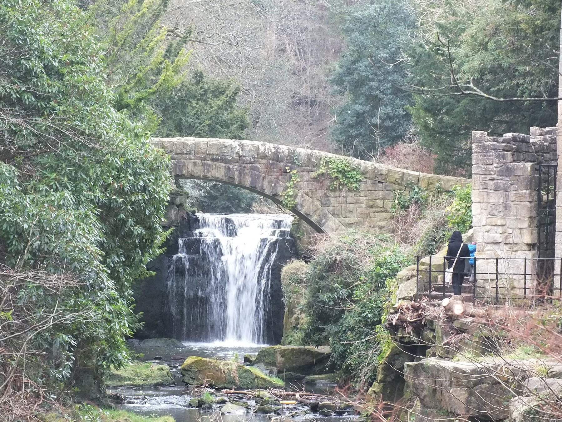 Jesmond Dene