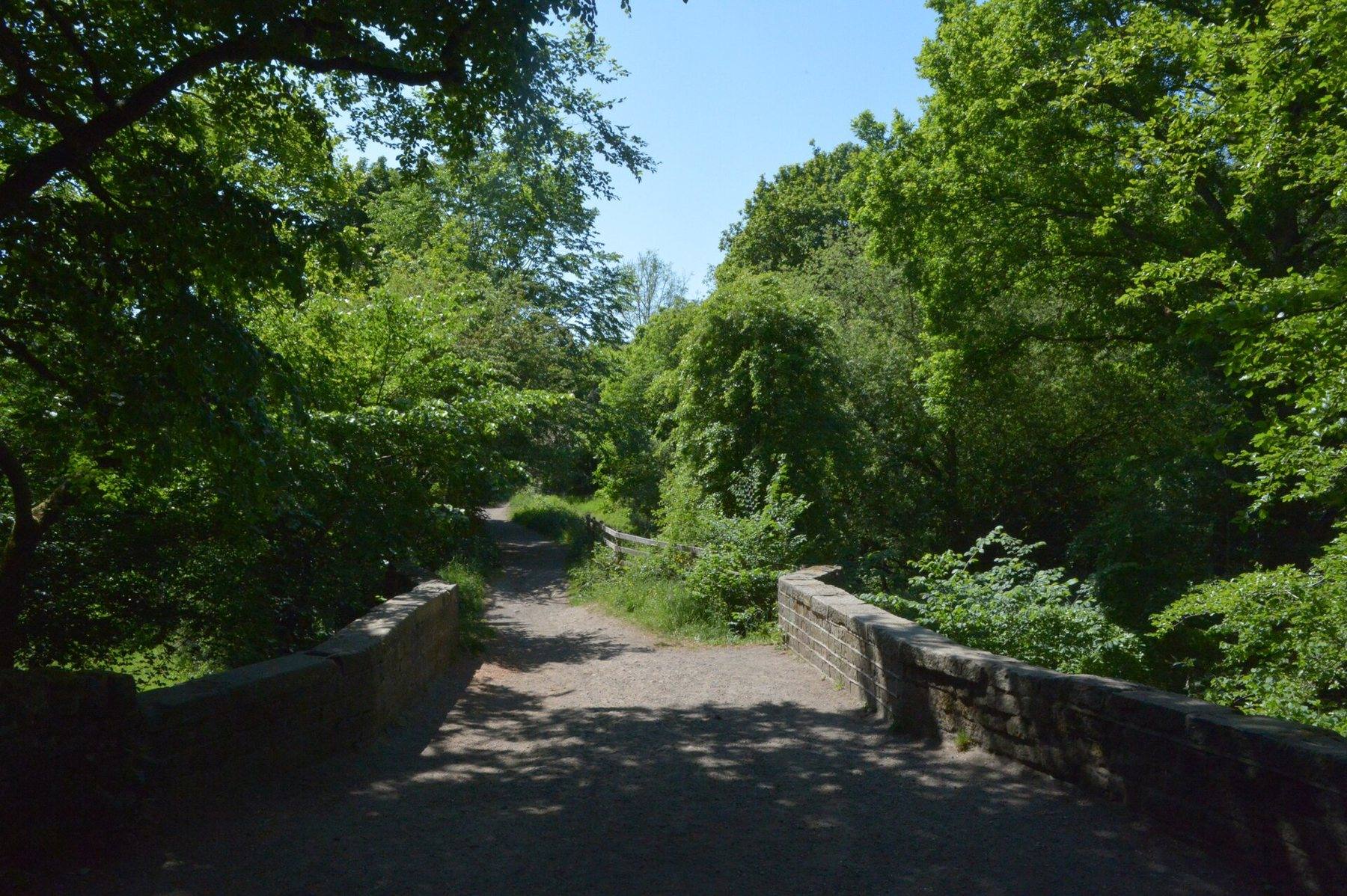 Judy Woods Circular from Wyke