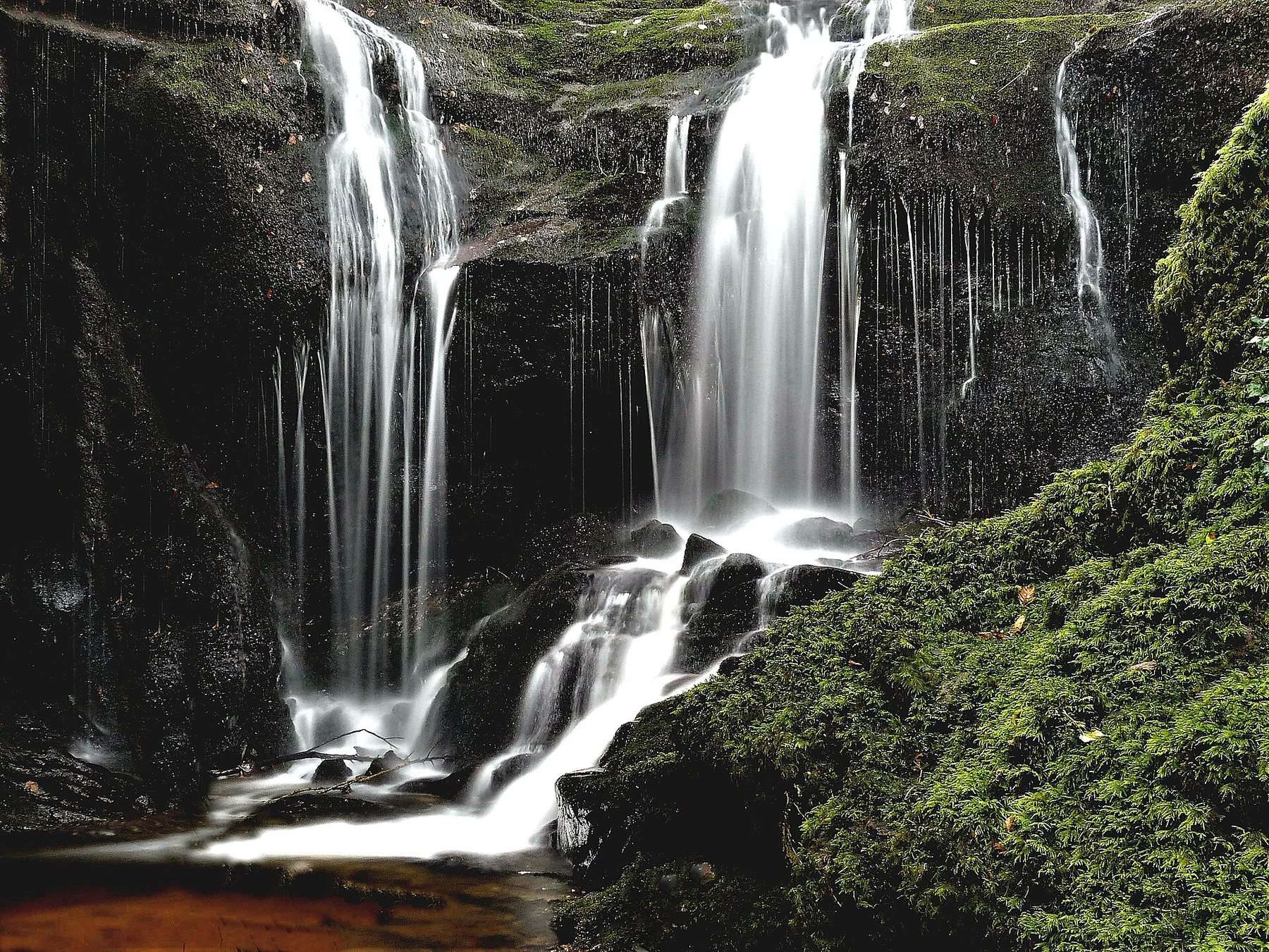 Kaim Hill and Fairlie Glen