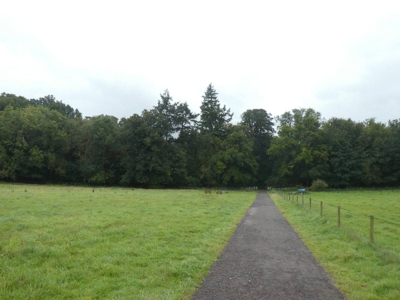 Kingston Lacy Woodland Trail