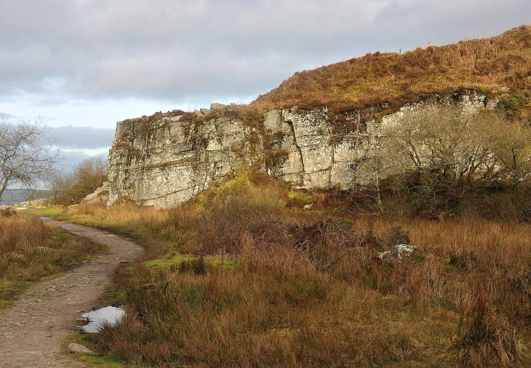 Kit Hill Country Park and Kelly Bray Circular